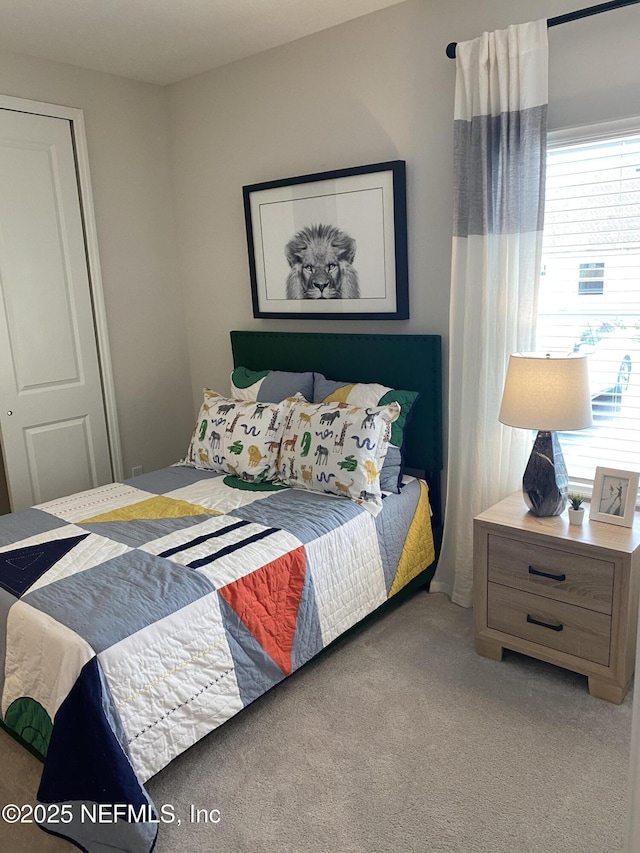 bedroom with carpet floors