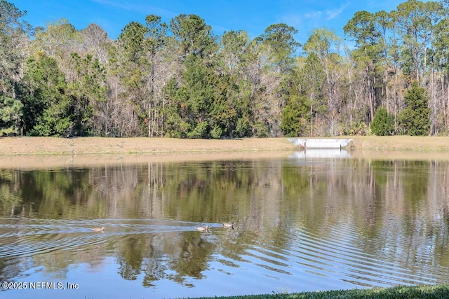 property view of water with a forest view