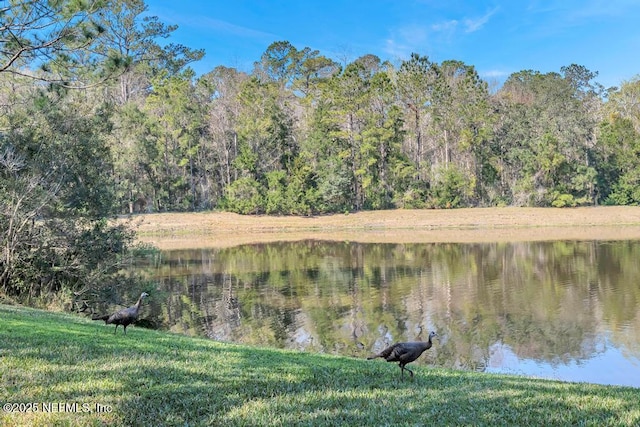 property view of water with a wooded view