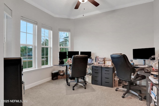 office with a ceiling fan, crown molding, baseboards, and carpet flooring