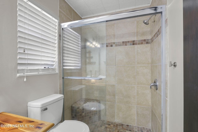 full bath featuring a shower stall and toilet