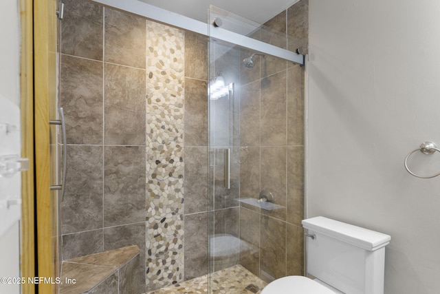 bathroom with toilet and a shower stall