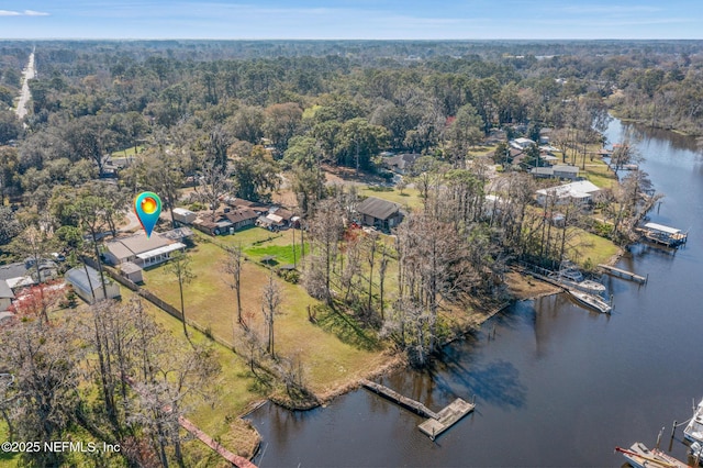 bird's eye view featuring a water view and a view of trees