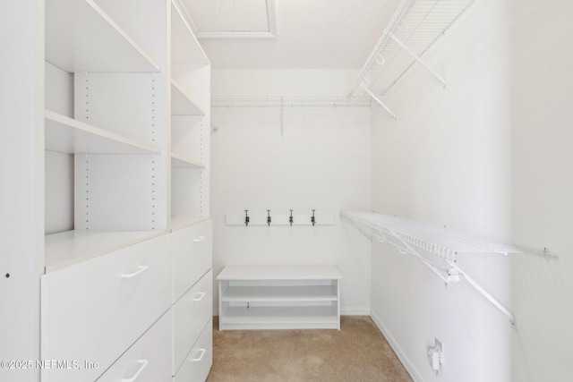 spacious closet with light carpet