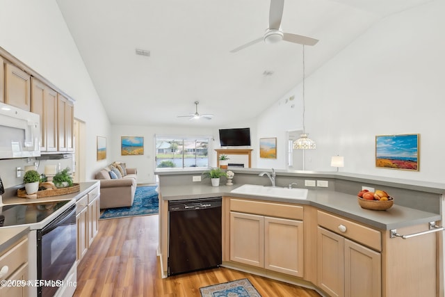 kitchen with black dishwasher, electric stove, open floor plan, and a sink