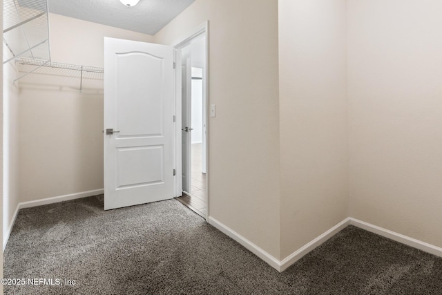 walk in closet with carpet floors