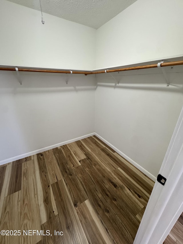 walk in closet featuring wood finished floors