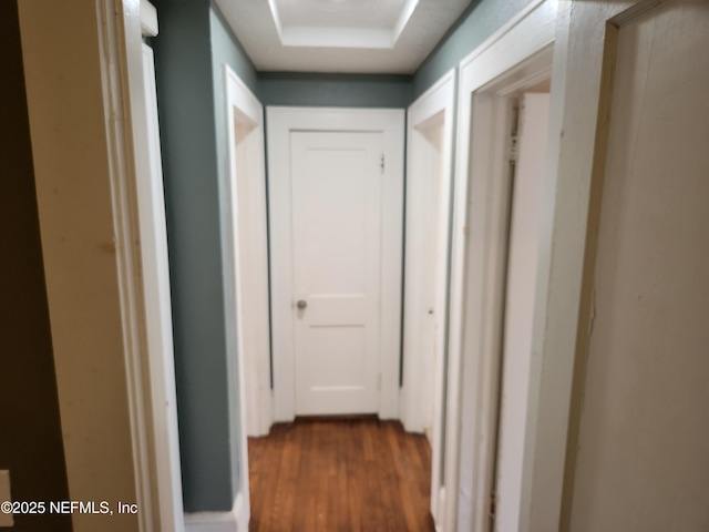 hallway with dark wood finished floors