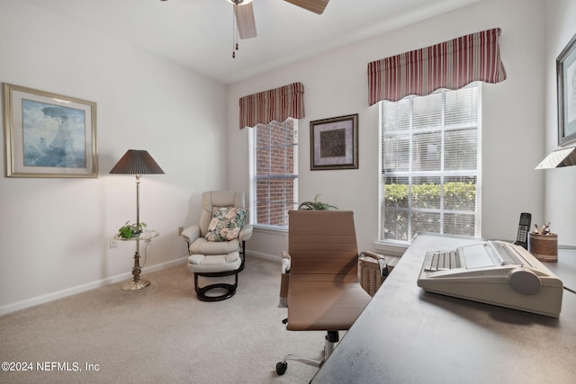 office featuring ceiling fan, carpet, and baseboards