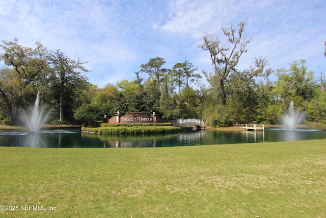 view of water feature