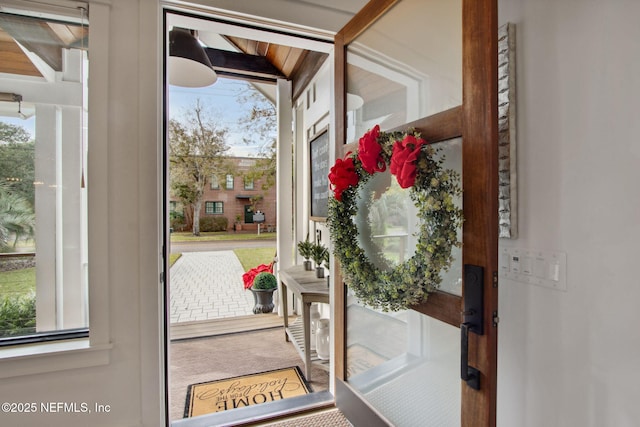 doorway with carpet floors