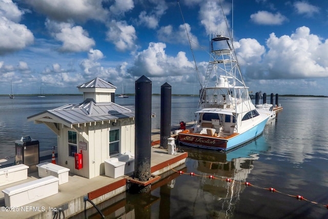 dock area with a water view