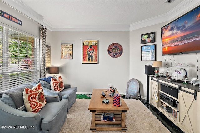 living room featuring a textured ceiling, baseboards, and crown molding