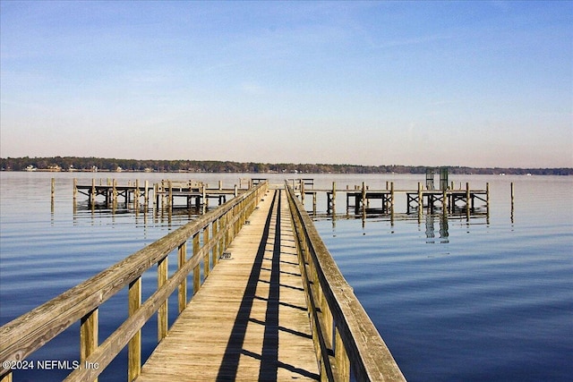 dock area with a water view