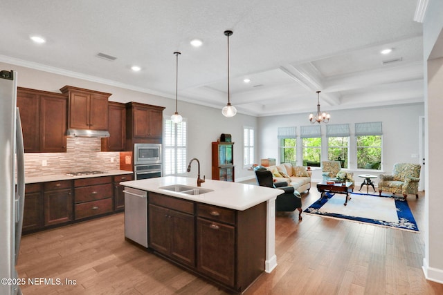 kitchen featuring tasteful backsplash, under cabinet range hood, appliances with stainless steel finishes, light wood-style floors, and a sink