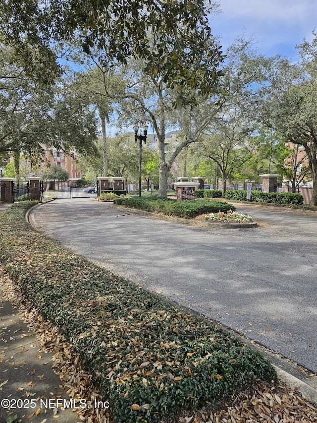 view of street with a gated entry and a gate