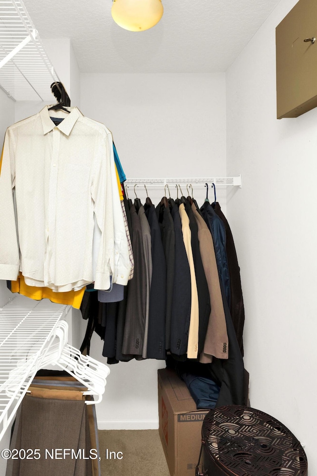 walk in closet featuring carpet