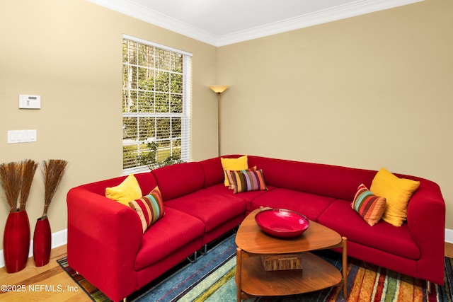 living room with baseboards, ornamental molding, and wood finished floors