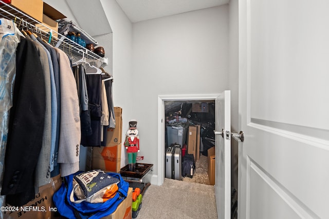 spacious closet with carpet flooring