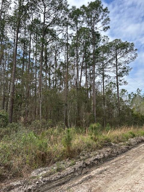 115 Lobster Pl, Palatka FL, 32177 land for sale