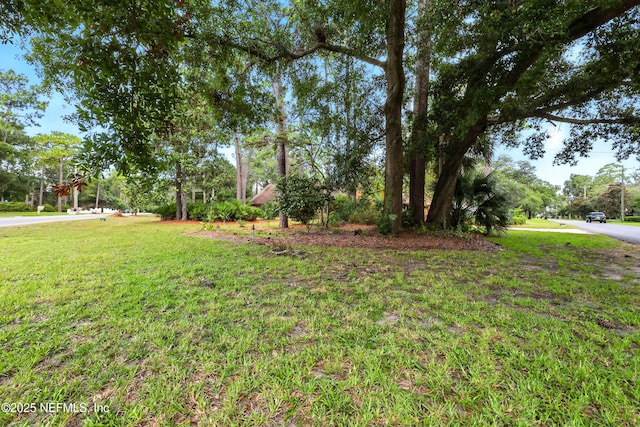 9254 Beauclerc Cir E, Jacksonville, FL 32257 - photo 92