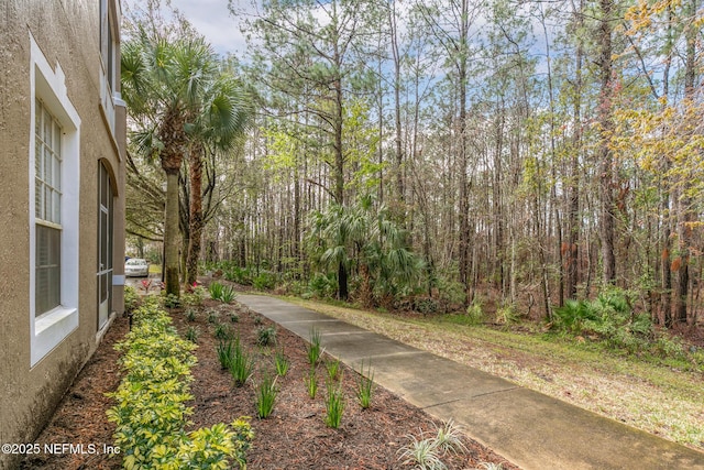 view of street featuring a forest view