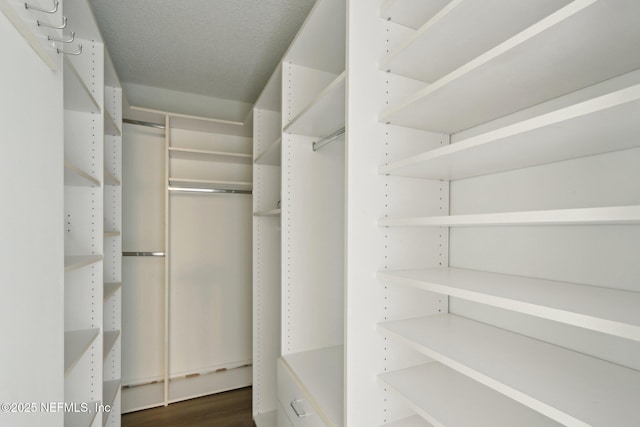 spacious closet with dark wood-style flooring