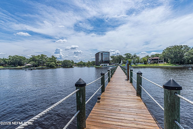 dock area with a water view