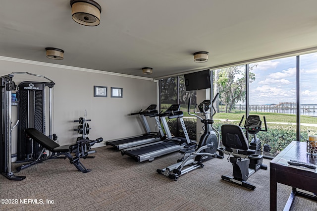 workout area featuring carpet floors, a wall of windows, plenty of natural light, and crown molding