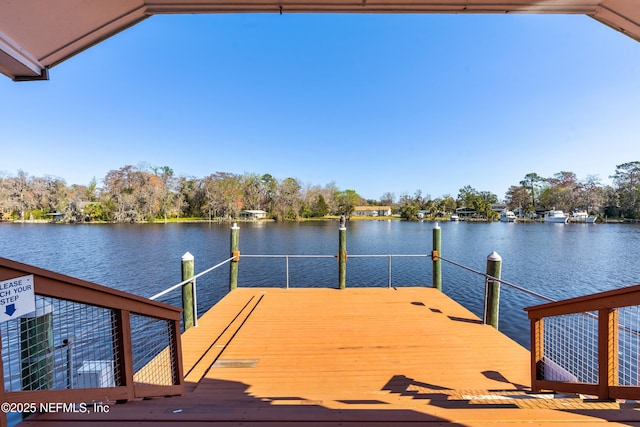 dock area with a water view