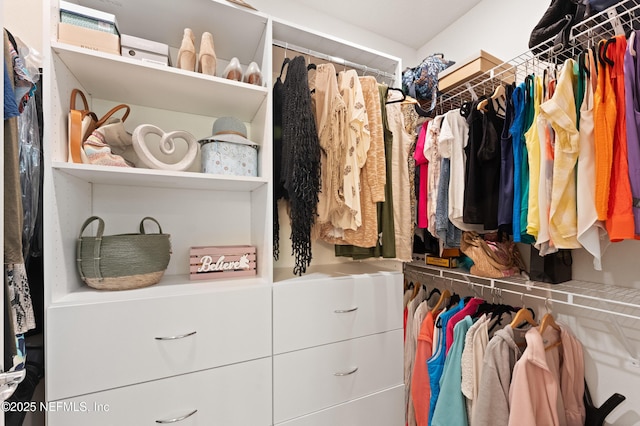 view of walk in closet