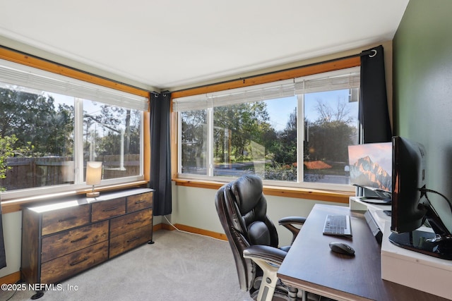 carpeted office featuring plenty of natural light and baseboards