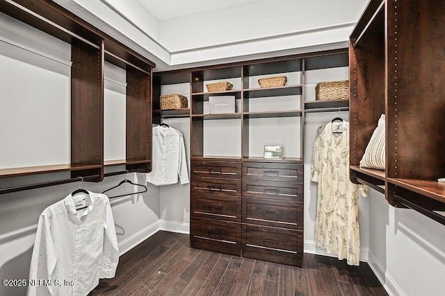 spacious closet featuring dark wood-style floors