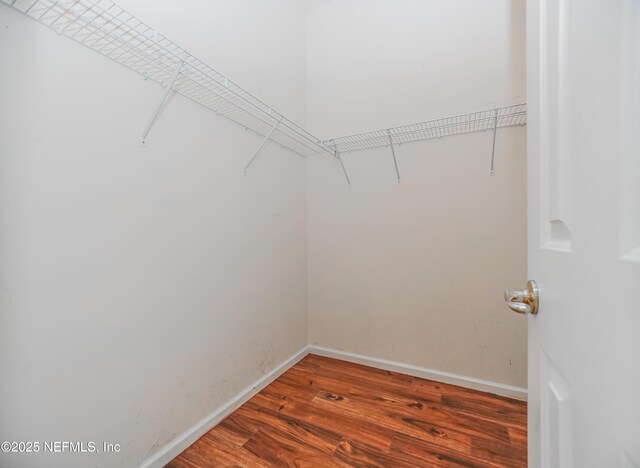 2534 Willow Creek Dr, Fleming Island, FL 32003 - walk in closet featuring wood finished floors