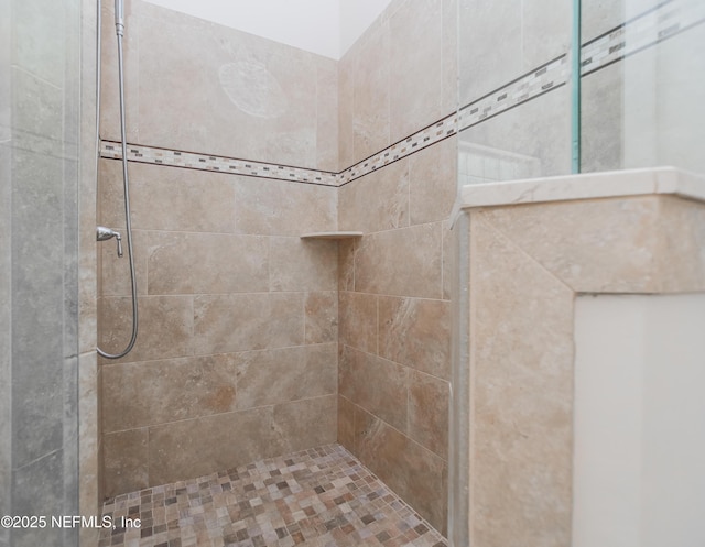 2534 Willow Creek Dr, Fleming Island, FL 32003 - bathroom with tiled shower
