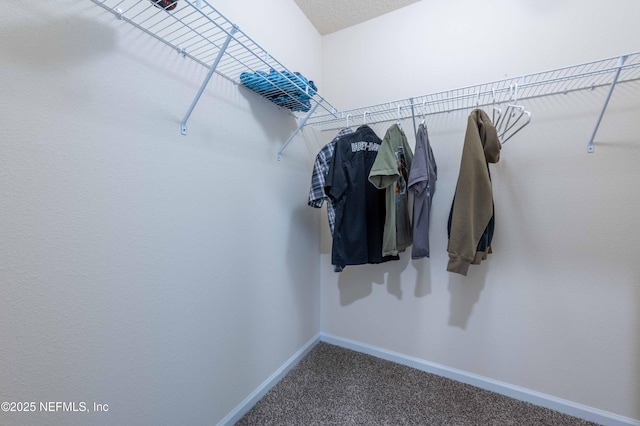 spacious closet featuring carpet flooring