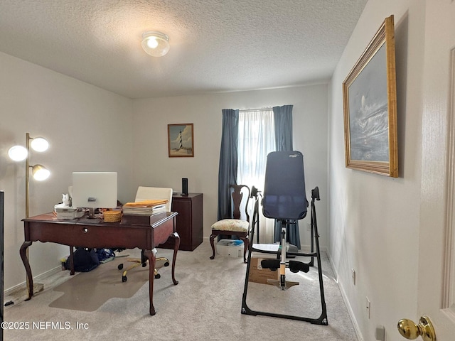 office with a textured ceiling, baseboards, and light colored carpet