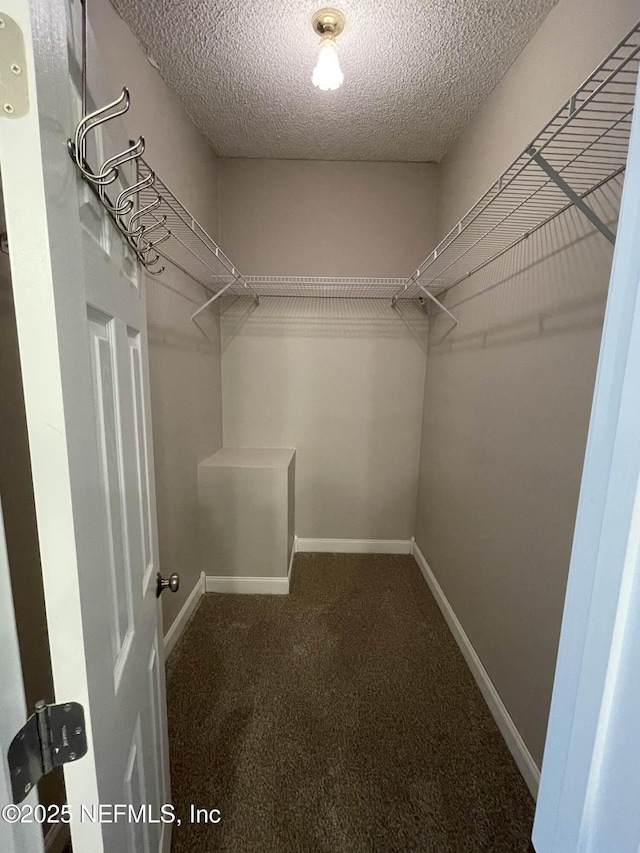 walk in closet featuring carpet floors