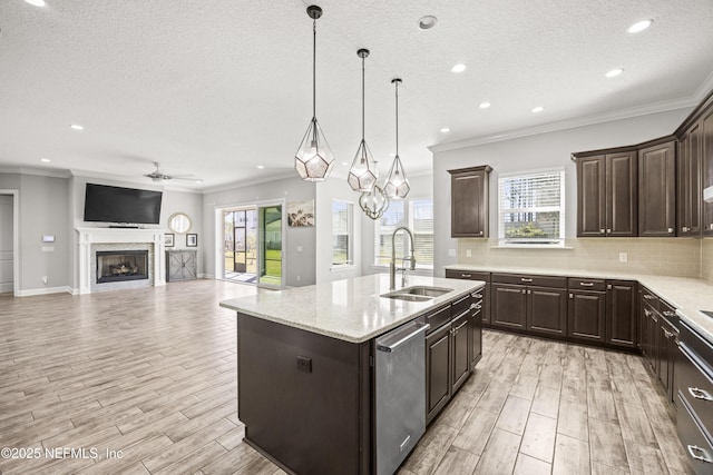 kitchen with a sink, tasteful backsplash, stainless steel dishwasher, dark brown cabinetry, and wood tiled floor