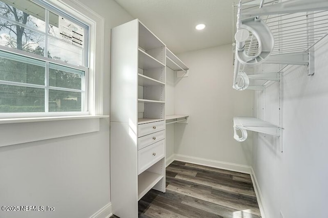 walk in closet featuring dark wood-style flooring