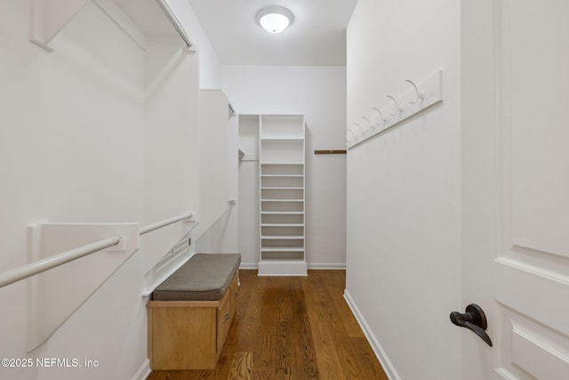 walk in closet with dark wood-type flooring