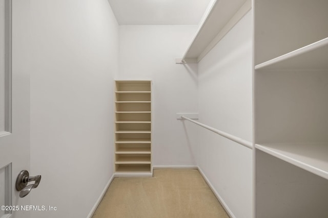 walk in closet with light carpet