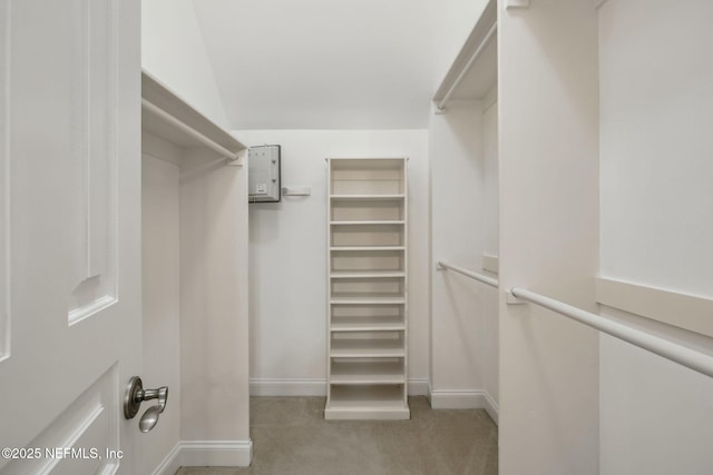 spacious closet featuring light carpet