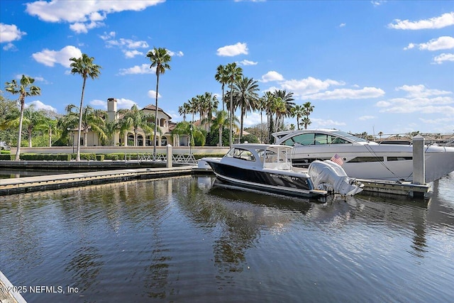 dock area with a water view