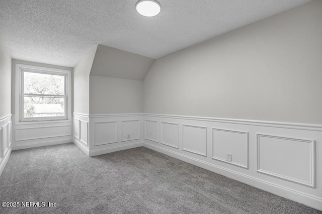 additional living space featuring a textured ceiling, carpet, and lofted ceiling