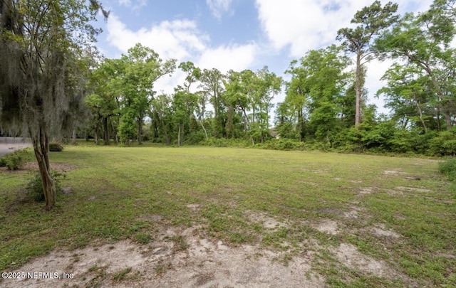 1027 Doctors Lake Inlet Cv, Orange Park FL, 32073 land for sale