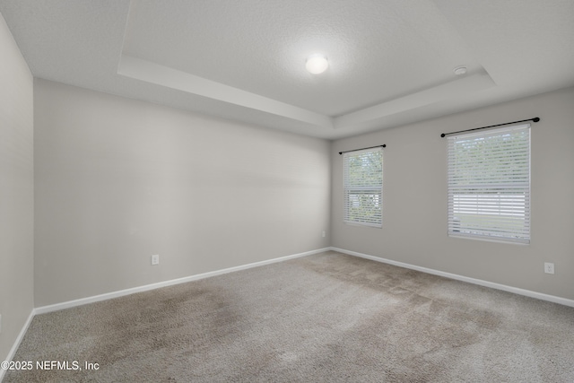 spare room featuring a textured ceiling, baseboards, a tray ceiling, and carpet floors