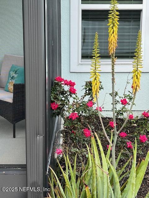 738 Seville Pkwy, Saint Augustine, FL 32086 - view of exterior details