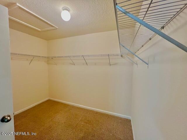 738 Seville Pkwy, Saint Augustine, FL 32086 - walk in closet with carpet floors