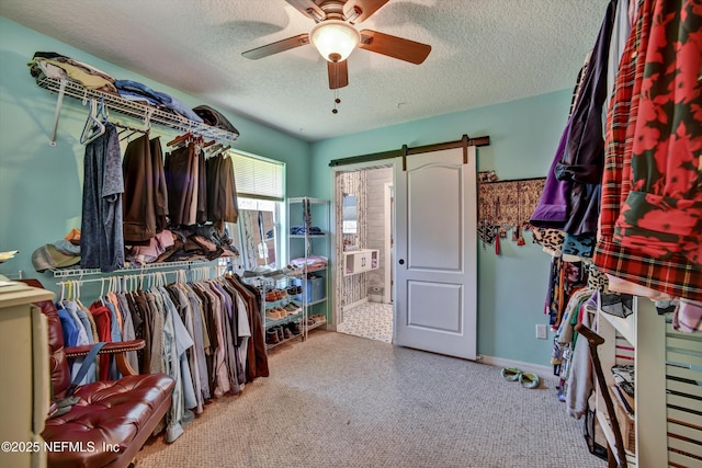 walk in closet featuring carpet and a ceiling fan